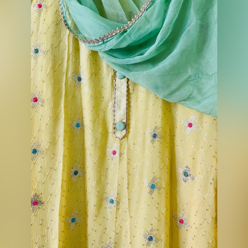 Indian pakistani dress
